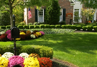 All American Lawn Caare Tips